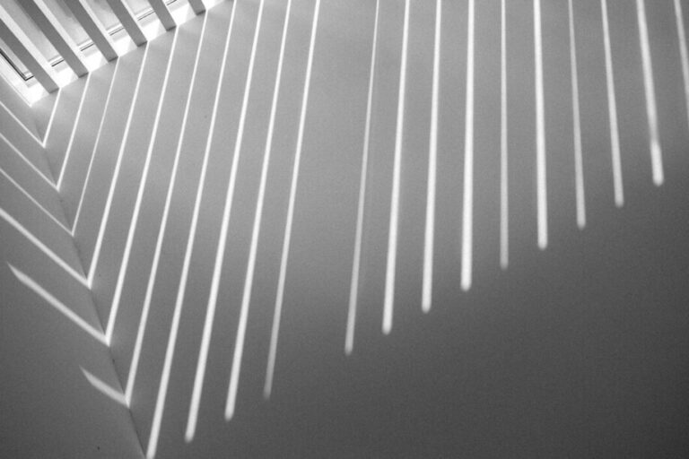 veštačka inteligencija zakon